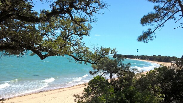 A beach with clear skies, a sandy shore, and dense foliage. - Mobile Home on Family Campsite with Pools (Saint-Jean-de-Monts)