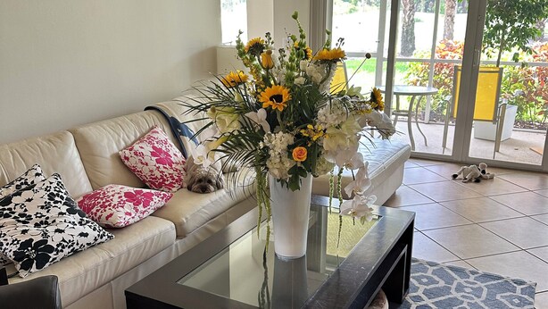 A living room with a sofa, coffee table, and a view through a glass door to an outdoor area with plants.