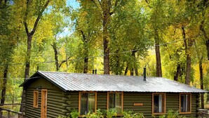 A rustic cabin with a metal roof, surrounded by dense trees and greenery. - TATA River Cabin: The Salida Cabin - Relax and Unwinde (Salida)