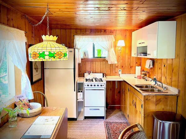 A compact kitchen with wooden walls, a refrigerator, a stove, and a sink. - TATA River Cabin: The Salida Cabin - Relax and Unwinde (Salida)