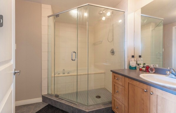 Hair dryer, soap, shampoo, toilet paper