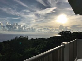 Vista del balcón
