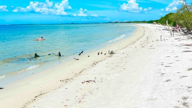 A beach with clear turquoise water, a sandy shore, and a few people and birds. - Florida Beach Hideaway 2A– Near the Beach • Pool • Fast WiFi • free Parking (Fort Myers)