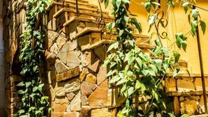A stone wall with climbing plants and a metal railing. - Pousada Saruê Natal (Natal)