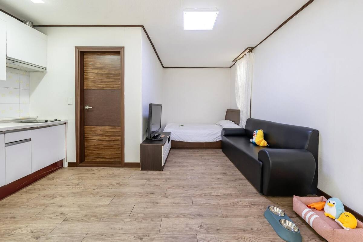 A compact living space with a kitchenette, a bed, a sofa, and a TV.
