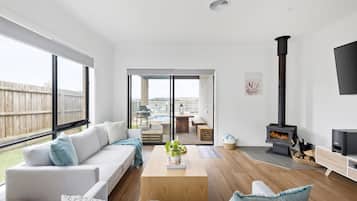 TV, fireplace, DVD player, books