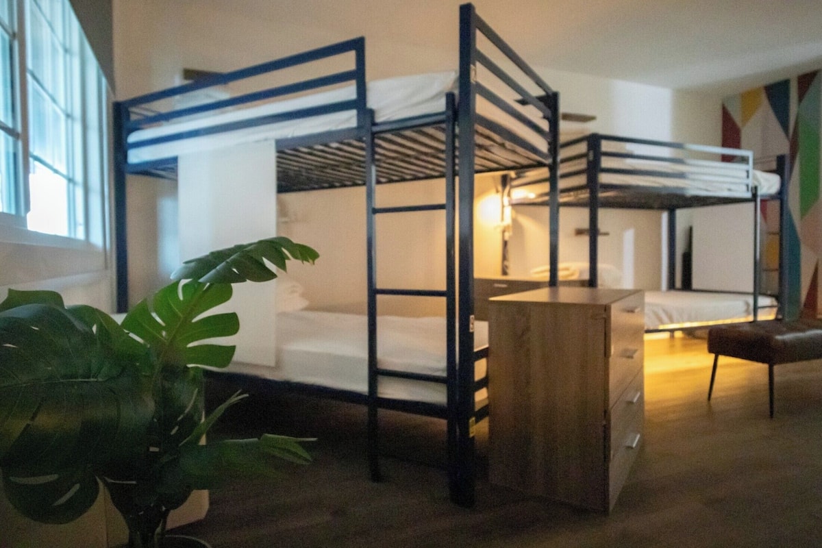 A bunk bed room with a wooden desk, a potted plant, and a window.