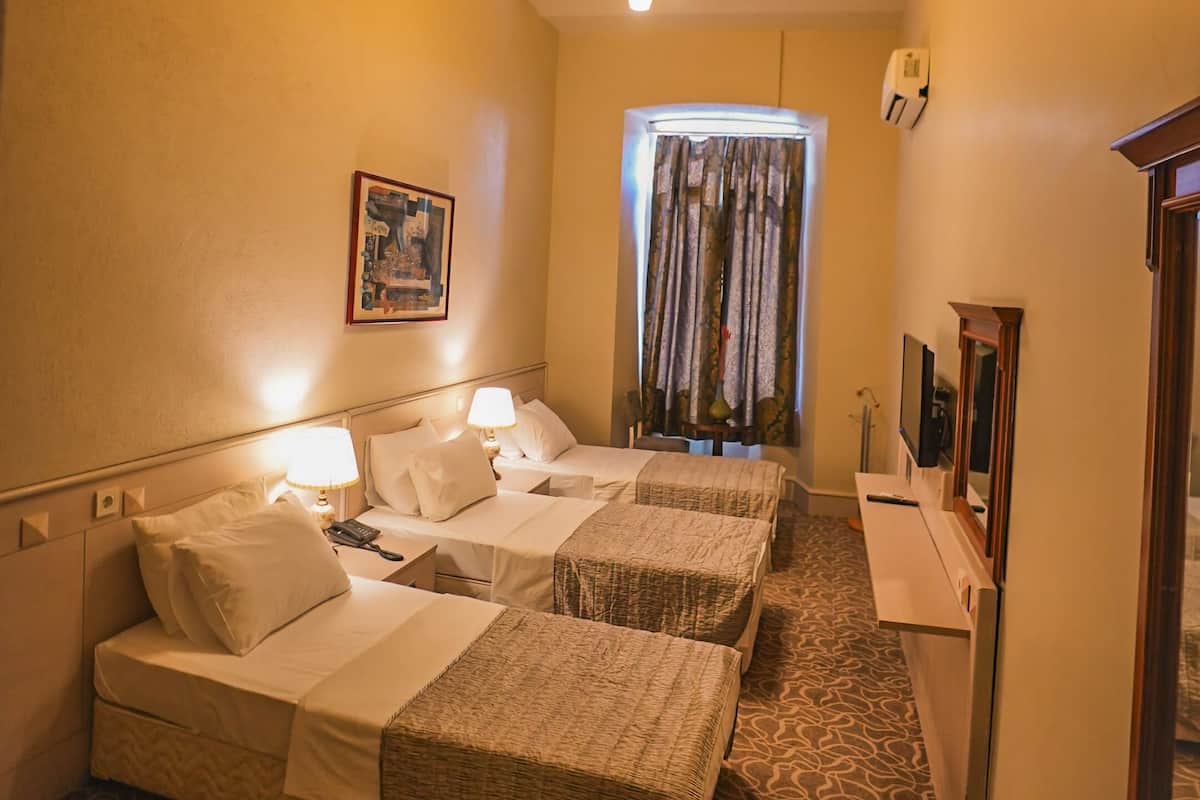 A hotel room with two beds, a patterned carpet, a ceiling light, a framed picture on the wall, and a window with curtains.