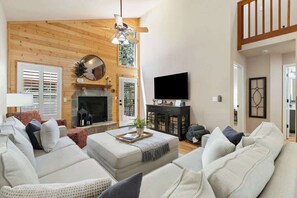 Télévision, cheminée, livres, espaces bureaux