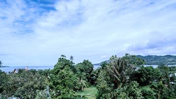 Un paysage tropical luxuriant, avec une végétation dense et une vue dégagée sur la mer.