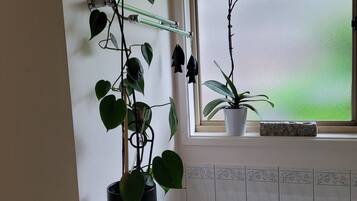 シャワー、ヘアドライヤー、タオル、石鹸