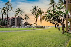 A hotel with a grassy lawn, palm trees, and a view of the sunset.