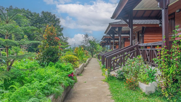 A pathway leading to traditional wooden buildings with a garden on one side.