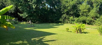Home with a large yard-Minutes from Downtown!!!