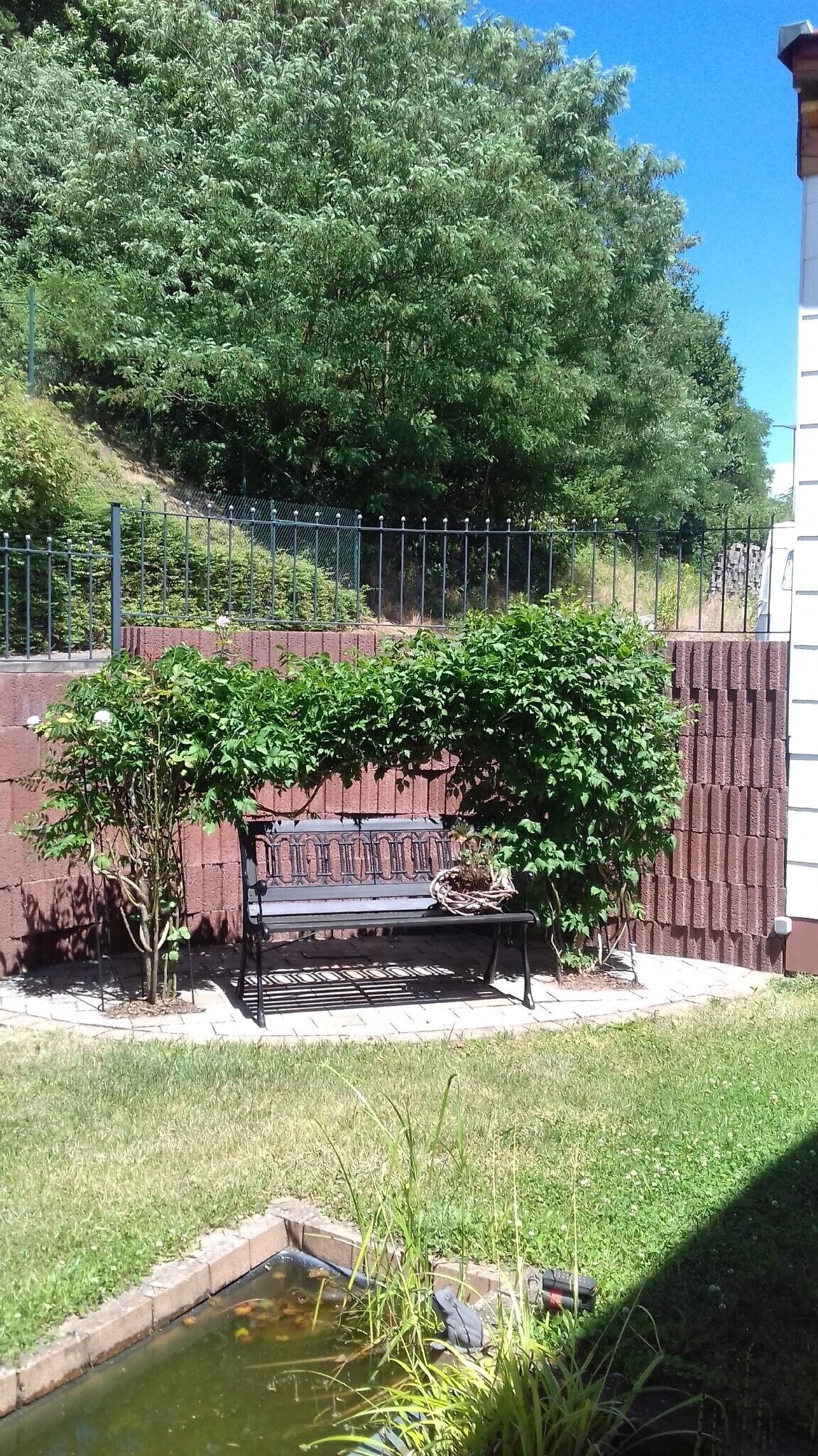 Un banc sous un arbre, un mur de briques et une zone herbeuse avec un petit étang.