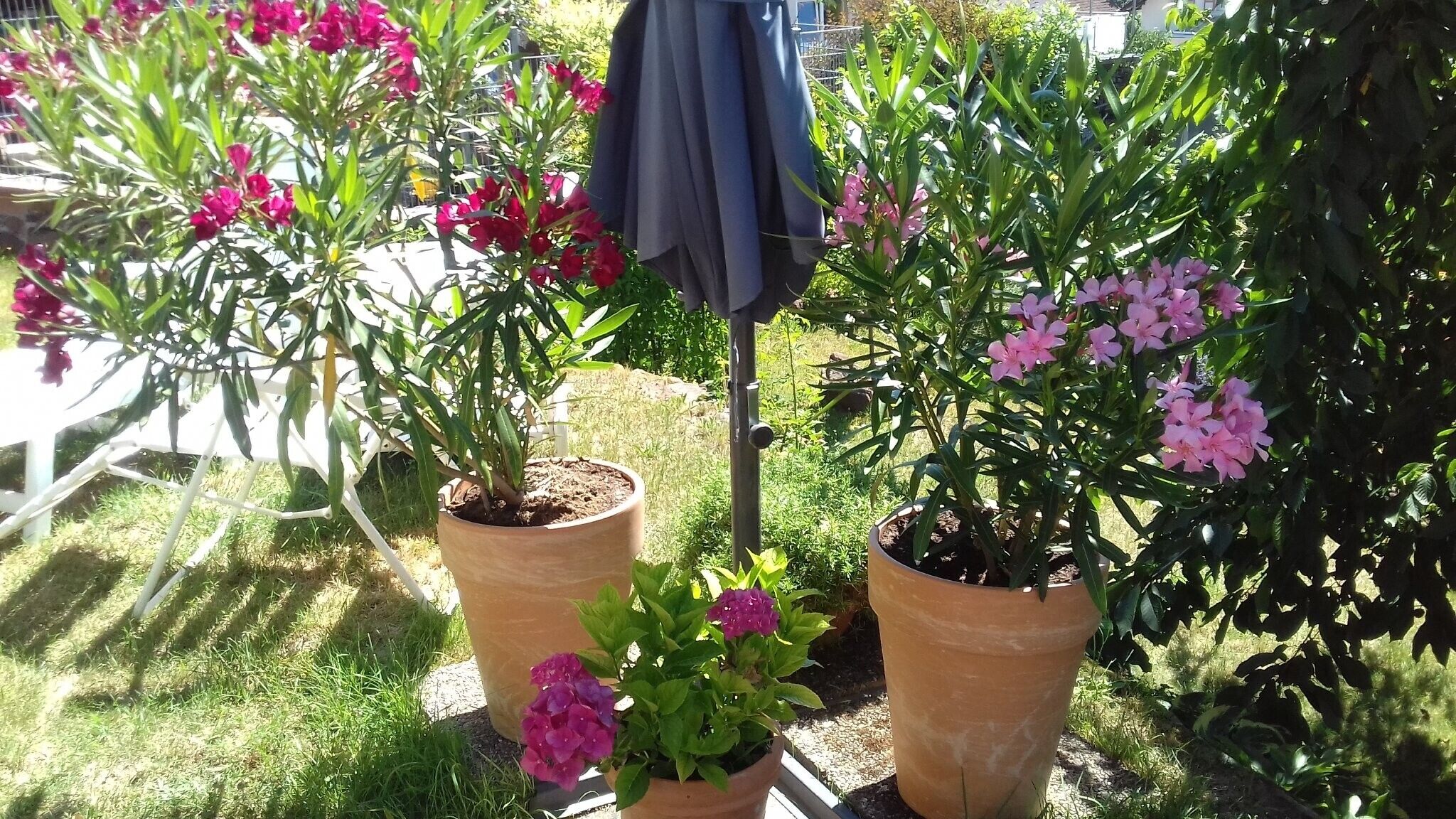 Terrain de l’hébergement 