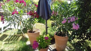 Potted plants with flowers in a garden setting. - Apartment 'Ruth' with Private Terrace and Wi-Fi (Dahn)