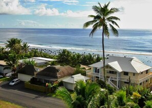A coastal residential area with houses, a beach, and a palm tree.