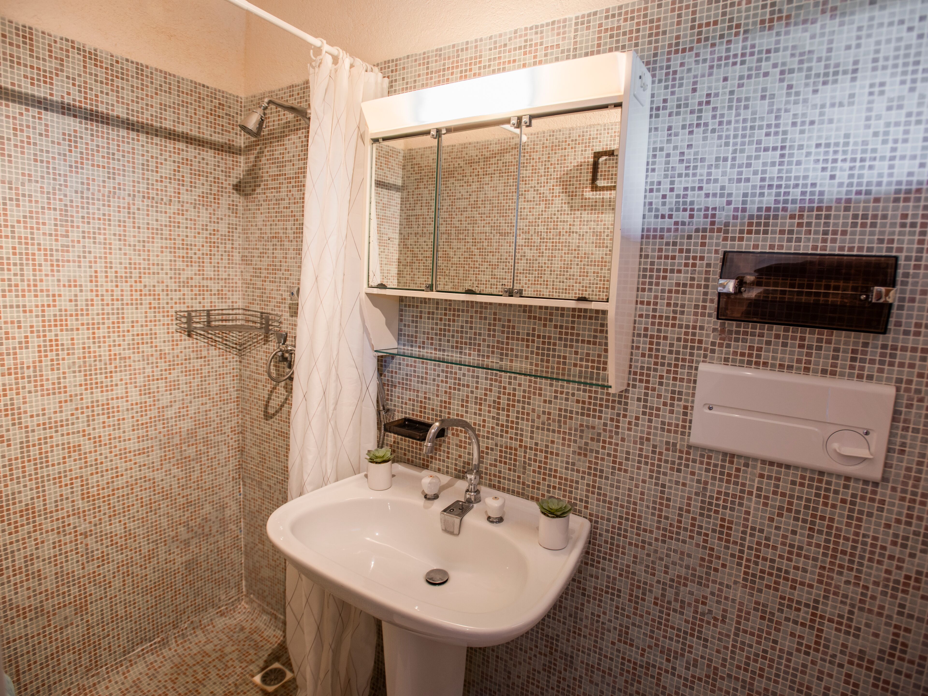 Baño con ducha, lavabo y espejo.