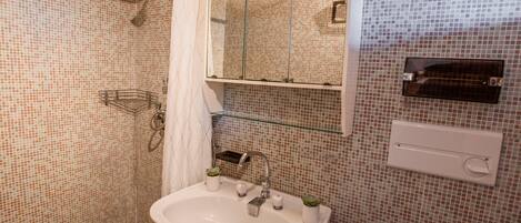 Baño con ducha, lavabo y espejo.