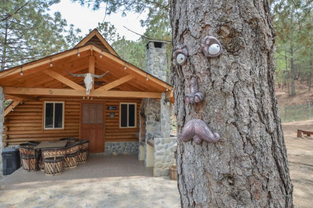 A rustic cabin with a wooden exterior, stone accents, and a large tree with carved animal faces.