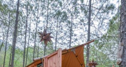 Glamping experience surrounded by nature