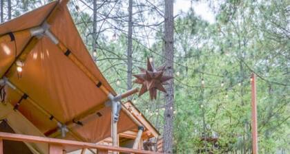 Glamping experience surrounded by nature