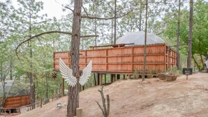 Une cabane en bois avec un toit en forme de dôme, entourée d’arbres, et une pancarte indiquant « Domo Beta ».