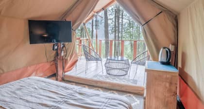 Experiencia de Glamping rodeado de la naturaleza
