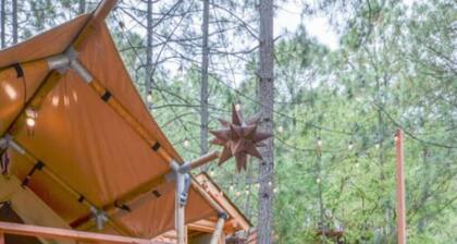 Glamping experience surrounded by nature