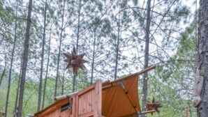 Una cabaña de madera con porche y terraza cubierta, rodeada de árboles.