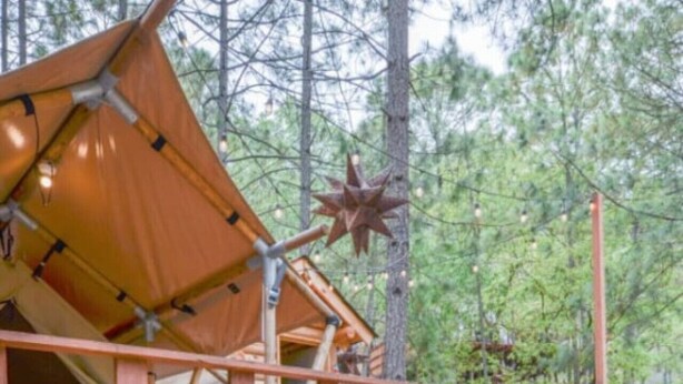 Una terraza de madera con una estructura tipo tienda de campaña, rodeada de árboles.