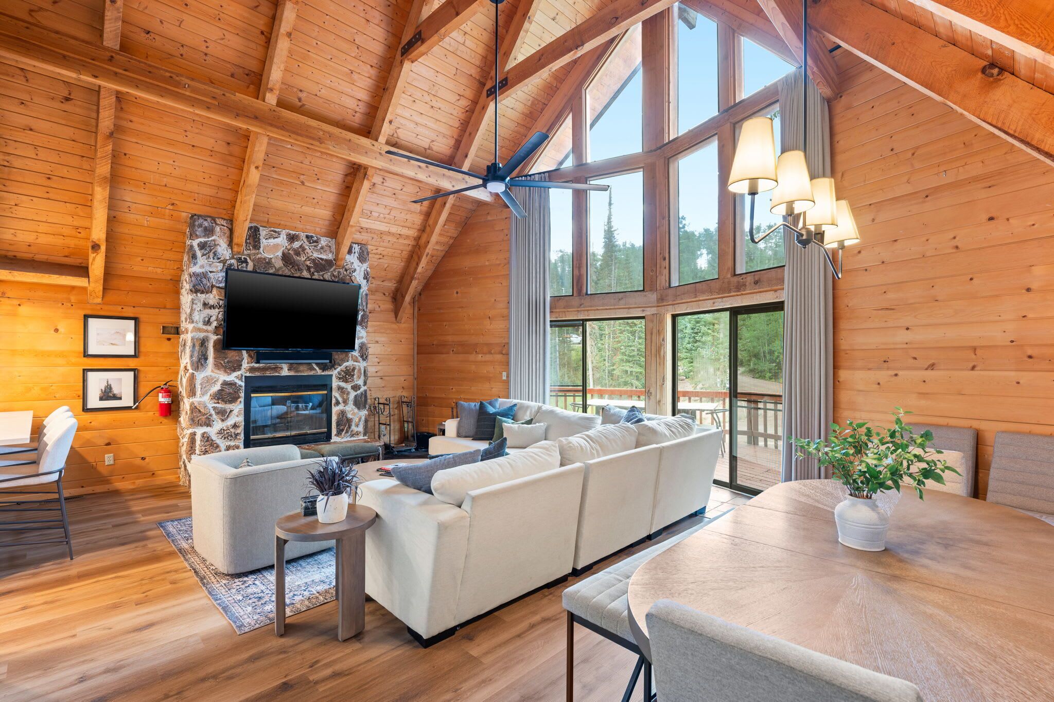 TV, fireplace, video games, offices