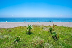 Playa