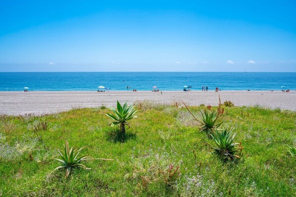 A beach with a clear sky, a sandy shore, and some greenery in the foreground.