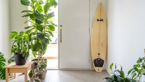 Et værelse med et surfbræt lænet op ad væggen, en potteplante og en dør der fører ud.