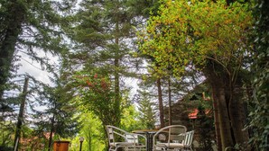 An outdoor patio with a table and chairs, surrounded by trees and greenery. - Villa Sara in Sinaia near Peles & Gondola (Sinaia)