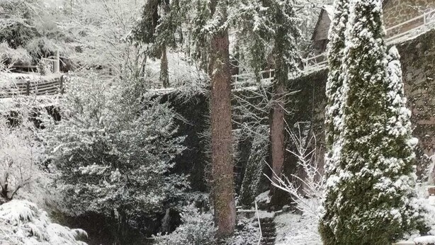 Eine verschneite Landstraße mit kurvenreichem Verlauf, umgeben von Bäumen und einem Holzzaun.