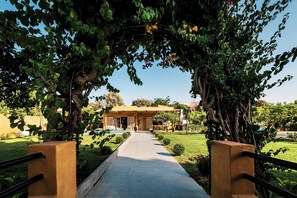 Property grounds - Costa-Aria House (Ialisos)