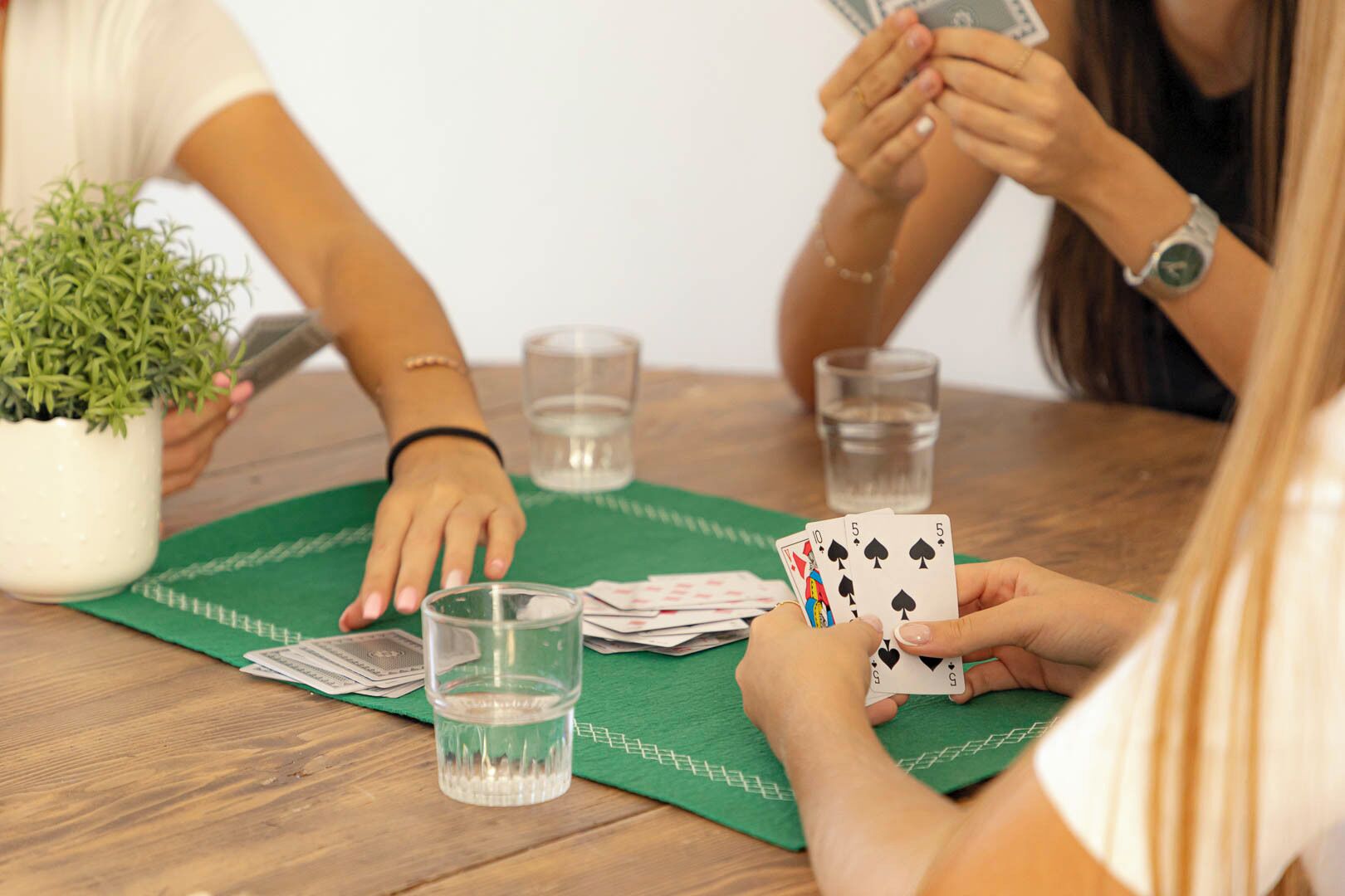A group of people playing cards at a table with a green mat, a potted plant, and glasses of water.