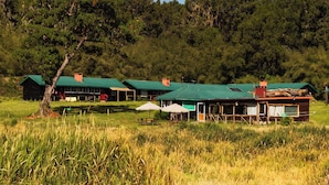 A row of rustic cabins with green roofs, surrounded by a grassy field and dense forest. - Anabas Mount Kenya Lodge (Igoji)