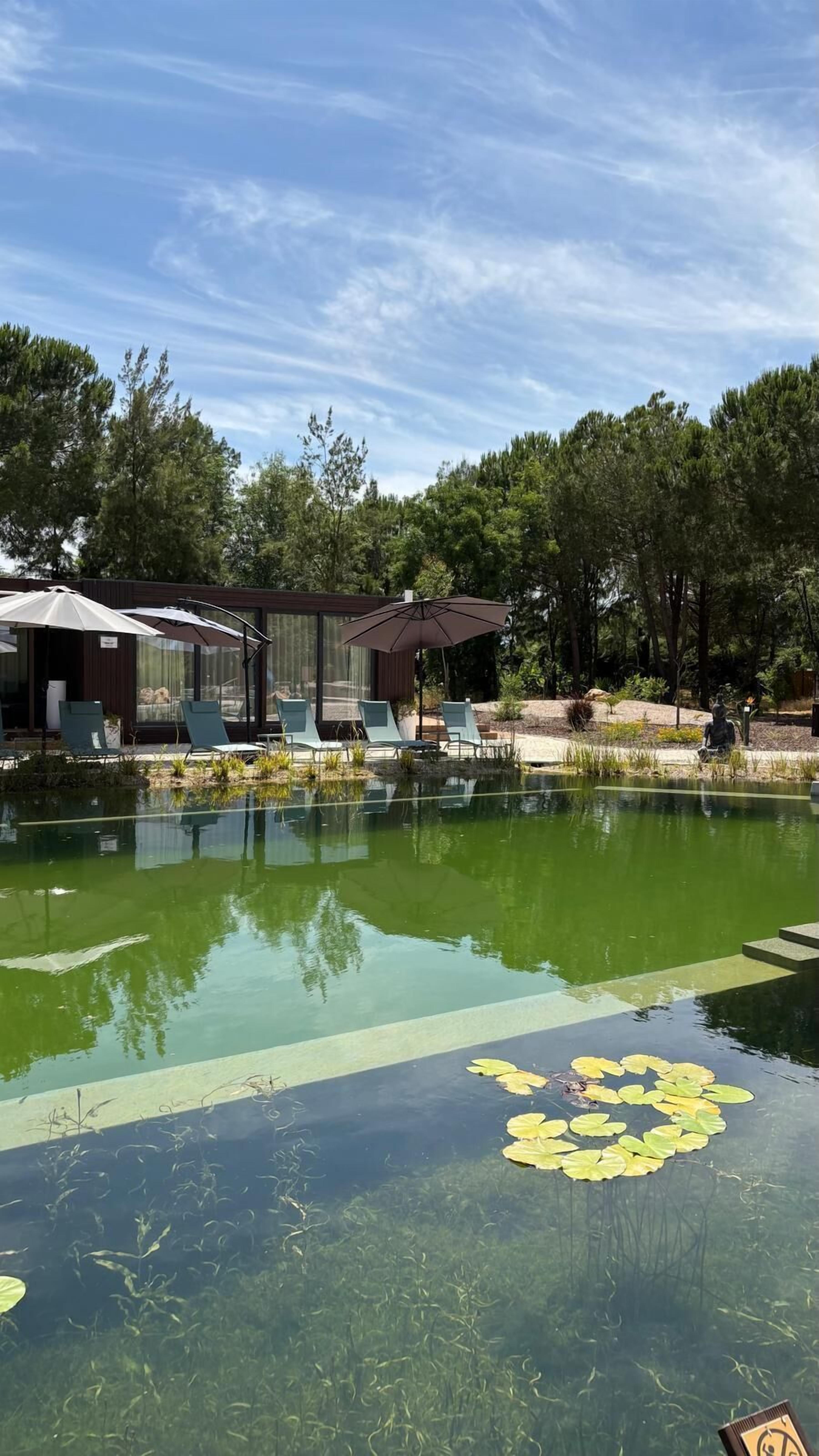 Una piscina al aire libre, sombrillas, sillones reclinables de piscina