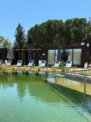 Outdoor pool, pool umbrellas, pool loungers