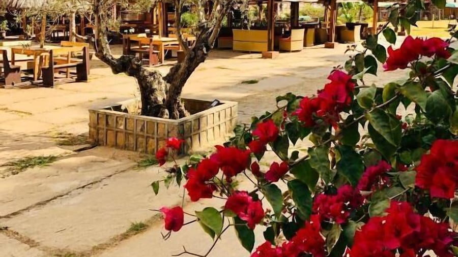 Le Chat'o Park Hôtel