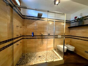 Shower, hair dryer, bidet, towels