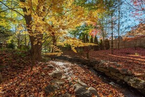 Property grounds - Apeldoorn House - 25 min to downtown Asheville (Black Mountain)