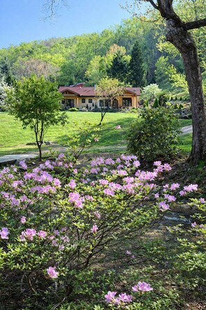 A house with a red roof, surrounded by a well-maintained lawn and flowering bushes. - Chateau-Style Mountain Cottage | Brook • Gardens (Black Mountain)