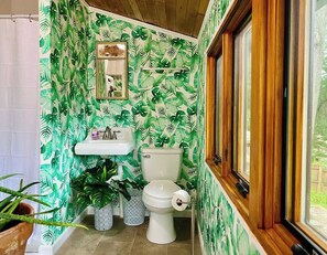 Regadera, secadora de cabello, toallas