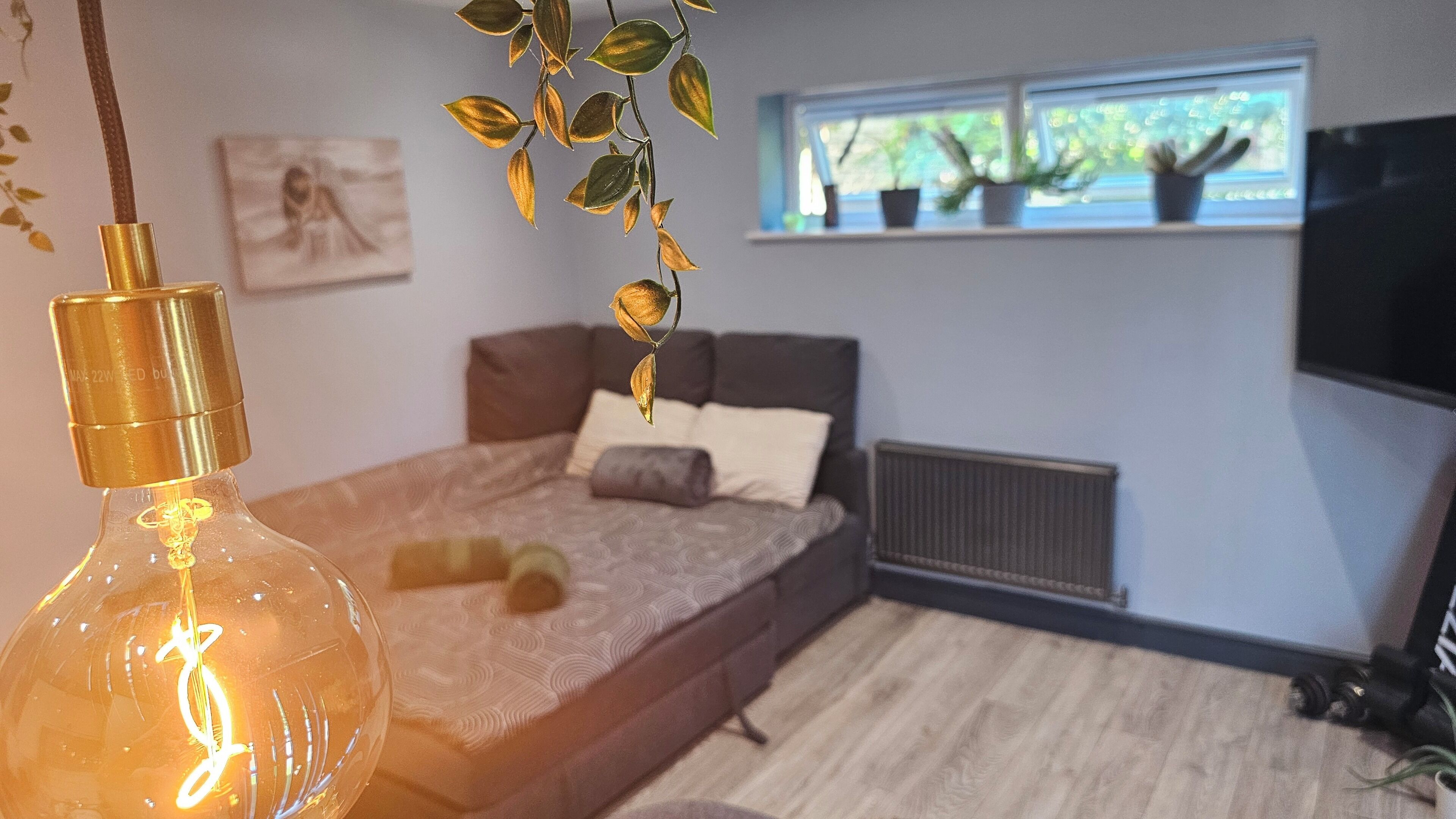A bedroom with a bed, a hanging plant, a wall-mounted TV, and a window with plants.