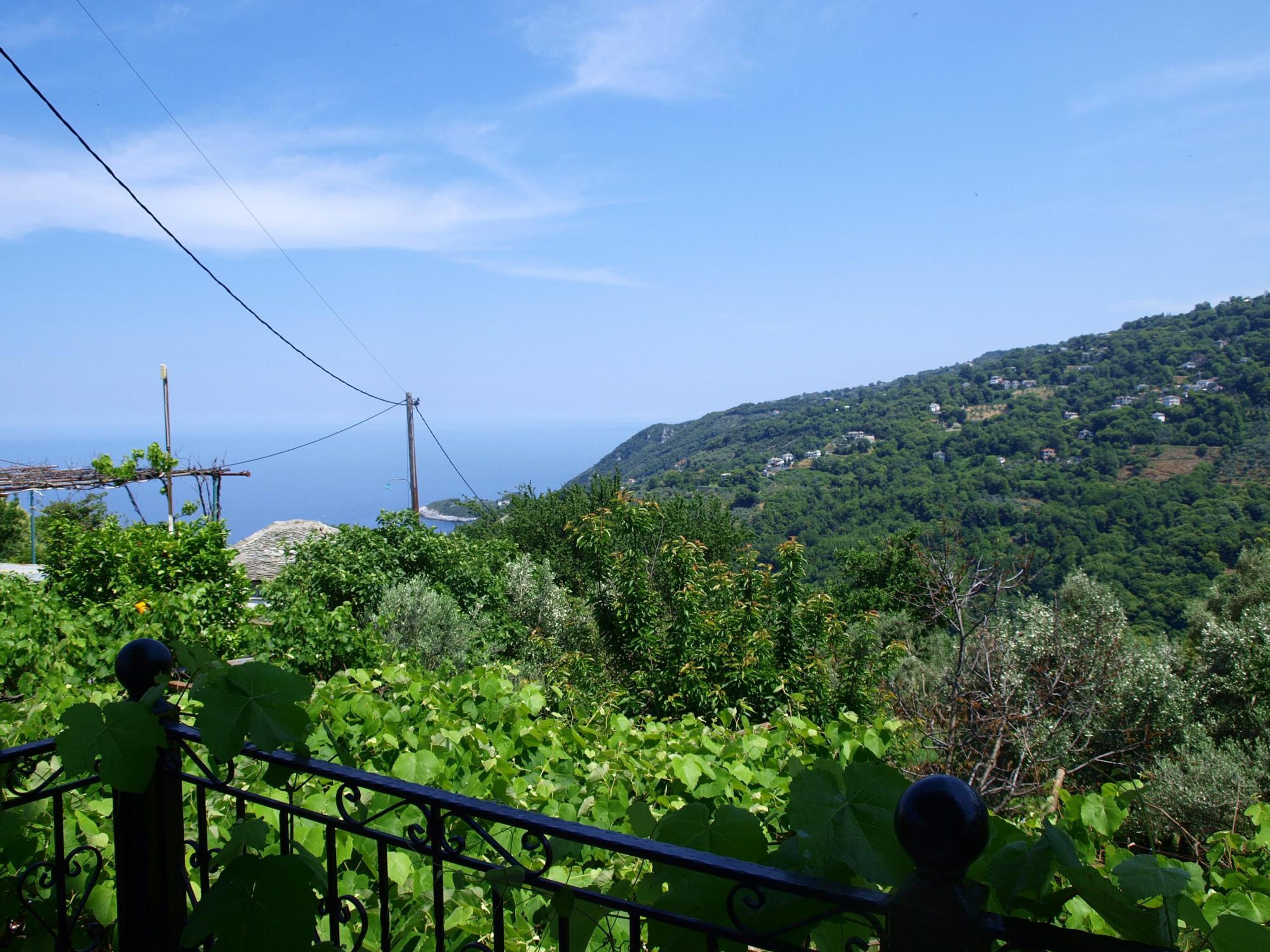 Un vignoble avec une rambarde métallique au premier plan, surplombant une colline parsemée de maisons et un ciel bleu dégagé.